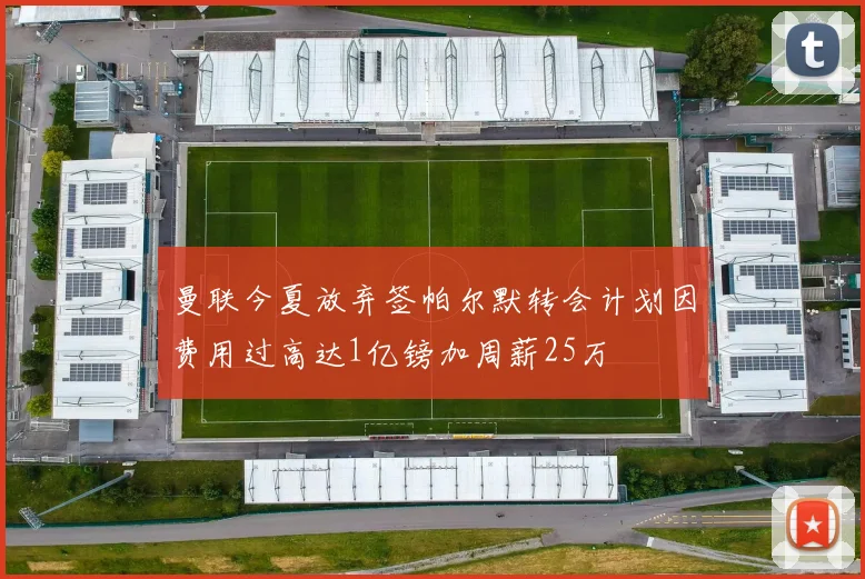 曼联今夏放弃签帕尔默转会计划因费用过高达1亿镑加周薪25万